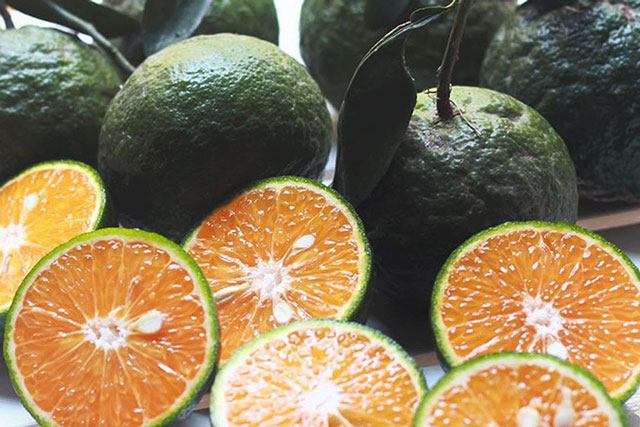 Bật mí 3 thực phẩm quen thuộc có tác dụng tích cực đối với việc giảm cân mà chị em không thể bỏ qua