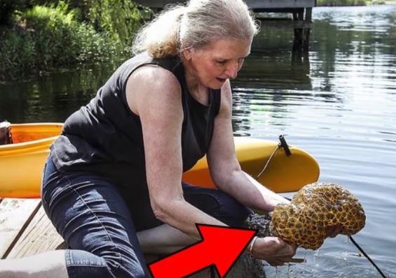 Thấy vợ câu được sinh vật lạ nhão nhoẹt lên khỏi mặt nước, chồng nhìn thấy liền hét lớn