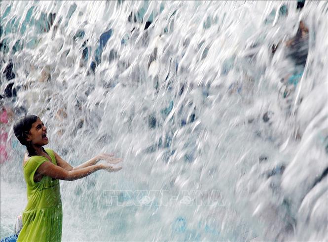 Năm xu hướng phát triển bền vững trong năm 2024