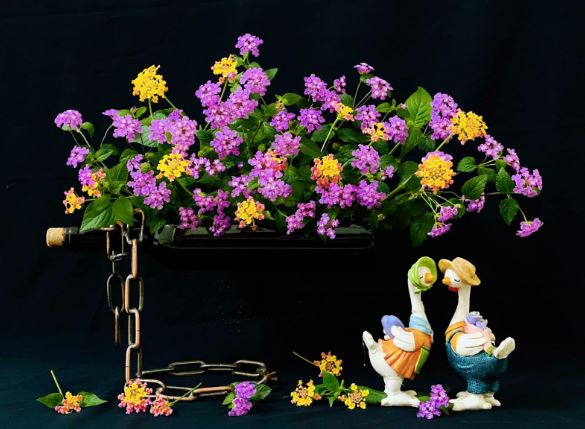 Tử vi hàng ngày - Thứ Tư 14/2/2024 của 12 cung hoàng đạo