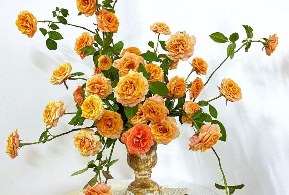 Tử vi hàng ngày - Thứ Năm 15/2/2024 của 12 cung hoàng đạo