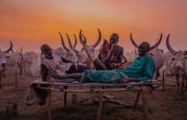 Người Mundari (Sudan) rạch trán tạo ra hình chữ V khi trưởng thành và luôn dành sự tôn trọng cho loài bò. Theo Africa Geographic, tổ chức du lịch và bảo tồn đã hoạt động từ năm 1991 ở châu Phi, Mundari là nhóm dân tộc bản địa của thung lũng sông Nile. Do vùng đất của người Mundari được bao bọc bởi sông Nile, họ có điều kiện tốt để chăn nuôi nên từ lâu đã có truyền thống coi trọng gia súc, nhất là bò. Trong ảnh, ba người Mundari bên cạnh đàn bò Ankole Watusi với cặp sừng khổng lồ. Những con bò này được ví là 