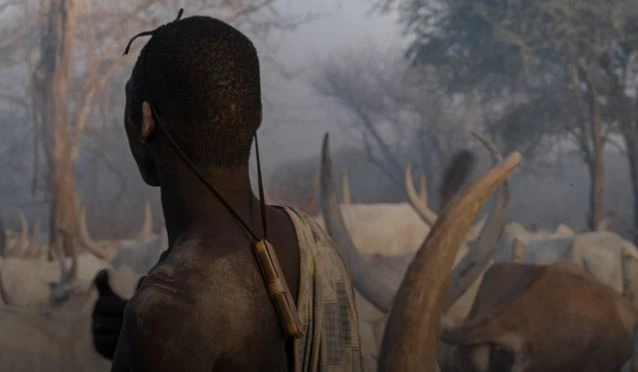 Văn hóa của người Mundari đề cao gia súc và những con bò Ankole-Watusi được xem như biểu tượng cho quyền lực. Cuộc sống của họ xoay quanh những con bò và đôi khi, mạng bò còn quý hơn mạng người. Vị trí trong xã hội của người Mundari được xác định bằng quyền sở hữu gia súc. Bò Ankole-Watusi là linh vật thiêng liêng, được xem như tài sản sống. Người dân bộ lạc này không thường tranh chấp đất mà chủ yếu liên quan đến những con bò. Trong đám cưới, nhà trai phải tặng nhà gái tới 40 con bò.