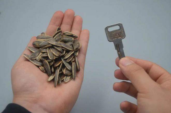 Không dùng tay bóc hạt hướng dương? Chỉ cần một chiếc chìa khóa, bạn có thể bóc một đĩa lớn trong vài phút, sạch sẽ, hợp vệ sinh mà không làm tổn thương tay