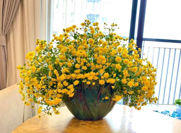 Tử vi hàng ngày - Thứ Sáu 16/2/2024 của 12 cung hoàng đạo