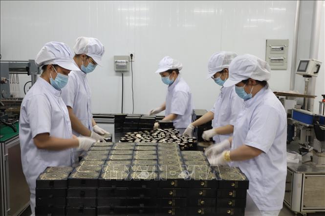 Doanh nghiệp ra quân sản xuất đầu năm: Đặt nhiều kỳ vọng vào năm mới