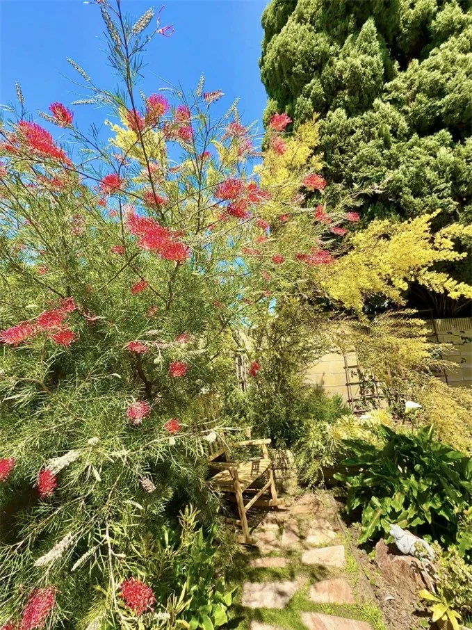 Biệt thự ở Mỹ của “phú bà” phim Mai - Hồng Đào: Hoa lá ngập tràn như resort, chụp vu vơ cũng có cả tá ảnh sống ảo