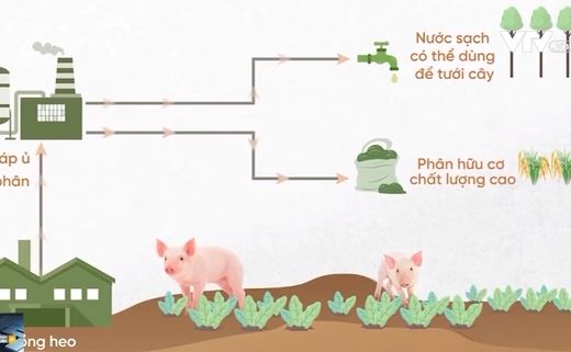 Cơ hội cho doanh nghiệp chủ động xóa dấu chân carbon