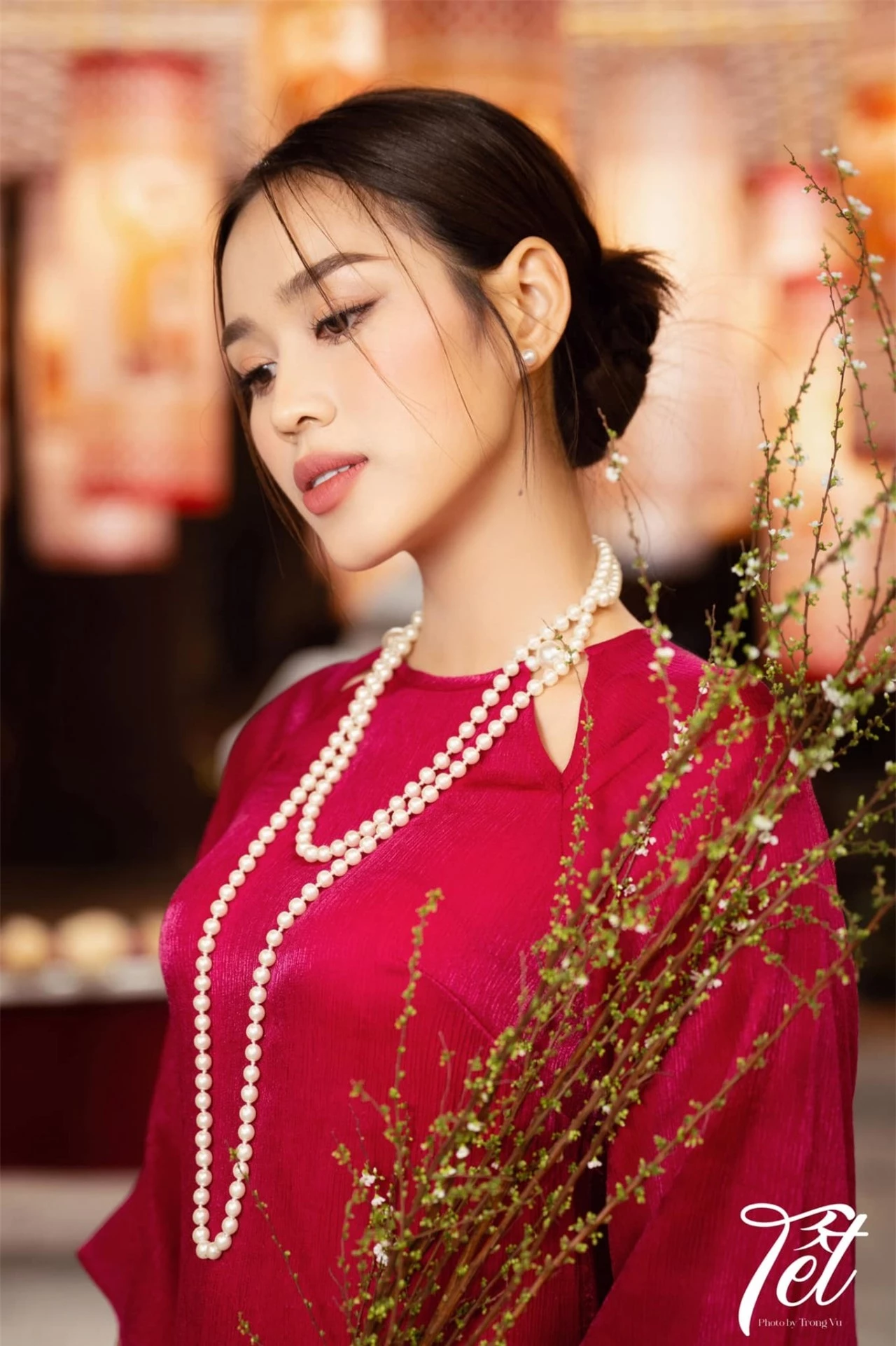 Hoa hậu Đỗ Thị Hà hóa nàng Xuân trong tà áo dài