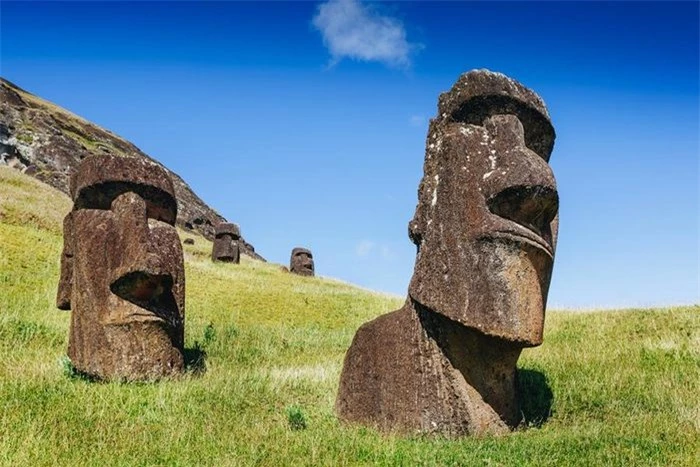 Điều khiến các nhà khoa học tò mò nhất là làm thế nào những bức tượng bằng đá này lại có mặt ở đó. Hòn đảo có người sinh sống từ trước năm 900, nhưng họ di chuyển những bức tượng to lớn và nặng nề này thế nào?