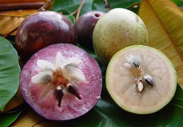 Loại quả tròn căng ngọt lịm có chỉ số đường huyết cực thấp, ai cũng thích ăn