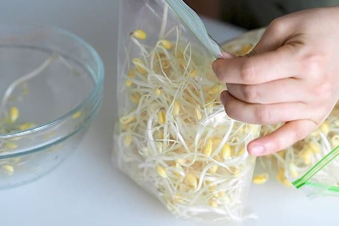 Cách giữ giá đỗ tươi, giòn, không bị thâm đen, để được lâu