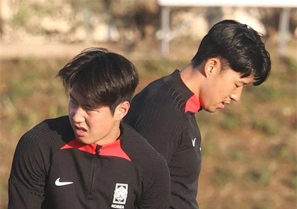 Lee Kang-in và Son Heung-min xô xát tại Asian cup 2023
