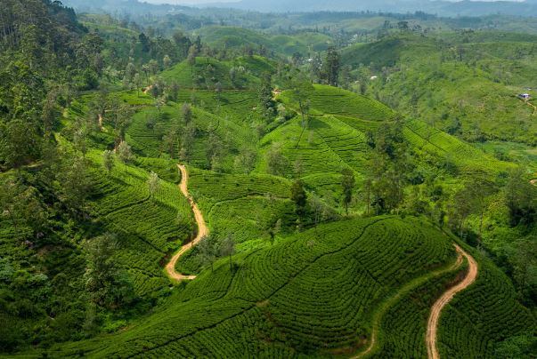 7 kiểu du lịch 'chất' nhất năm 2024