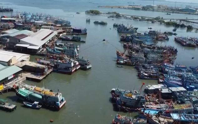 Cần giải pháp đồng bộ để gỡ thẻ vàng EC đối với hải sản Việt Nam