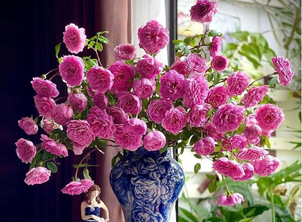 Tử vi hàng ngày - Thứ Ba 20/2/2024 của 12 cung hoàng đạo