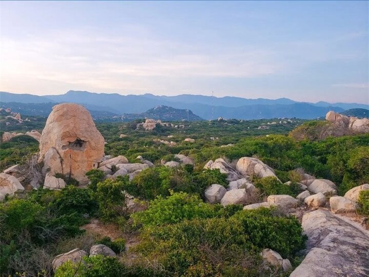 Ảnh: Nguyễn Văn Huỳnh