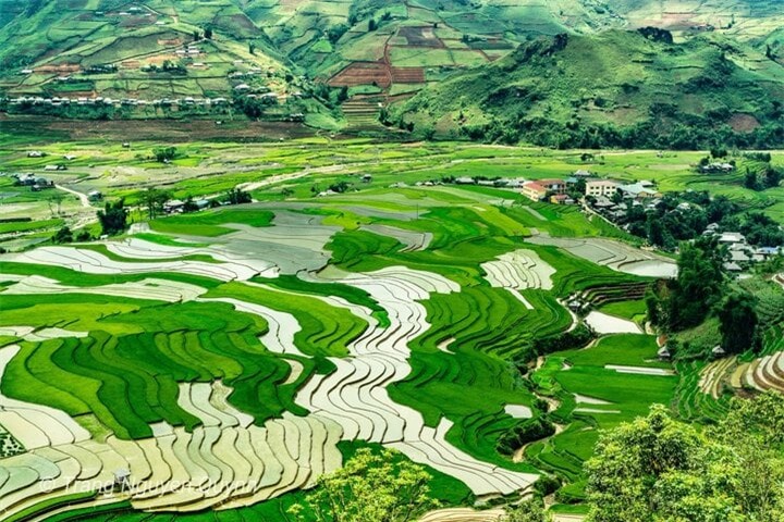 Ảnh: Nguyễn Quỳnh Trang