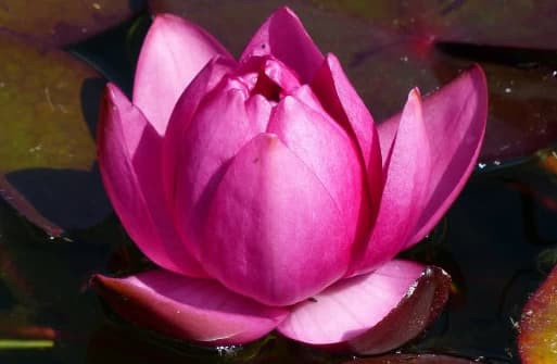 Nếu một người có 'ba tính tốt' sau đây thì vận may không ở đâu xa với bạn, hãy xem bạn có không?