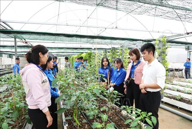 Tám tiêu chí dự án khoa học và công nghệ thuộc Chương trình công nghệ cao  