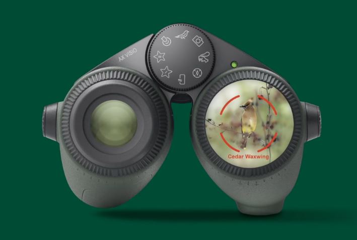 Ứng dụng AI trong nhận diện cá thể loài