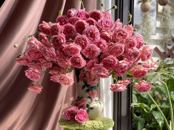 Tử vi hàng ngày - Thứ Sáu 23/2/2024 của 12 cung hoàng đạo