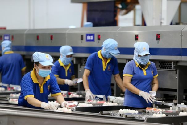 Tín hiệu tích cực về 'sức khỏe' của doanh nghiệp