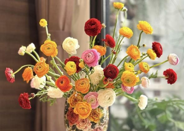 Tử vi hàng ngày - Thứ Bảy 24/2/2024 của 12 cung hoàng đạo