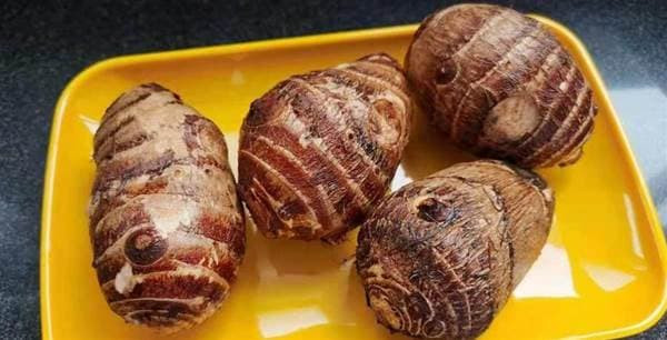 Khi mua khoai môn nên mua khoai môn mẹ hay khoai môn hạt? Lão nông trồng rau tiết lộ: Chênh lệch khá lớn, đừng mua nhầm nữa