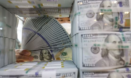 Tỷ giá USD hôm nay 24/2/2024: USD trụ vững ở mức cao