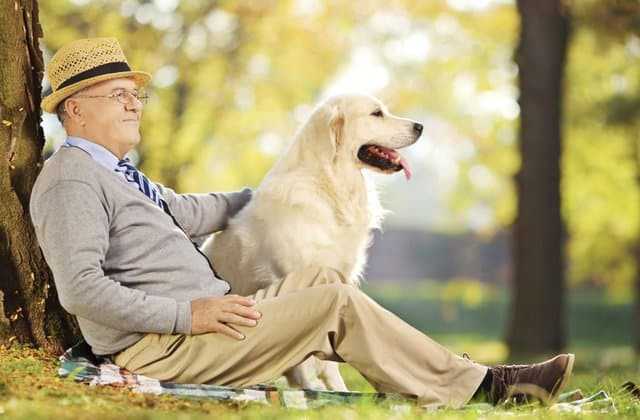 Lý do những người lớn tuổi nên nuôi thú cưng?