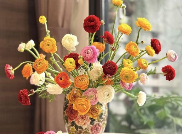 Tử vi hàng ngày - Thứ Bảy 24/2/2024 của 12 cung hoàng đạo