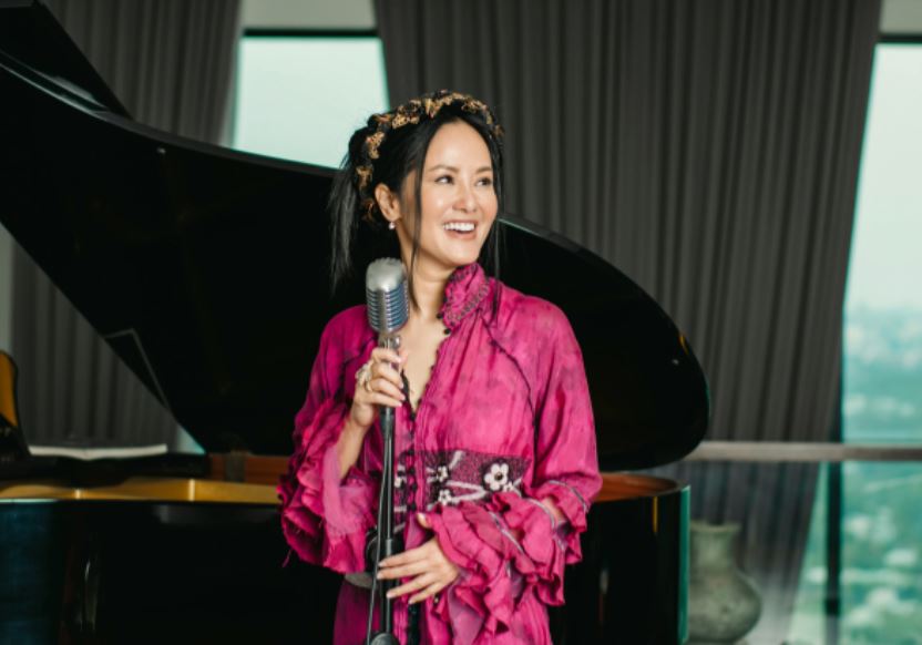 Diva Hồng Nhung bức xúc: toàn bộ kho nhạc online của cô đều không được sự cho phép từ chính chủ, nhờ pháp luật can thiệp!