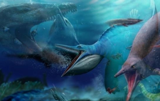 5 loài khủng khiếp nhất của 'đại dương quái vật' vừa lộ diện