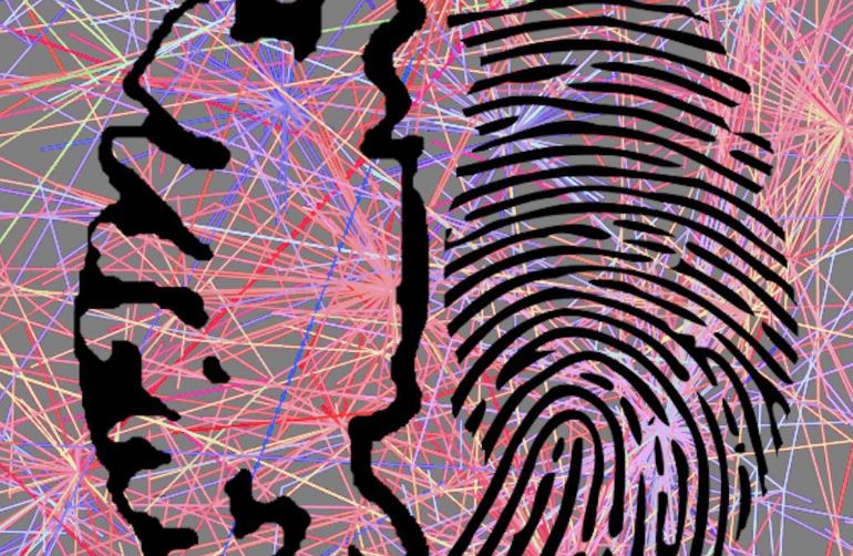 Tại sao trên thế giới, hầu như không có hai người nào có dấu vân tay giống hệt nhau?