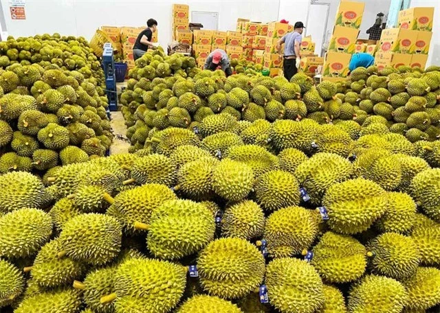 Rộng cửa” cho trái cây Việt Nam sang thị trường Trung Quốc - Ảnh 1.