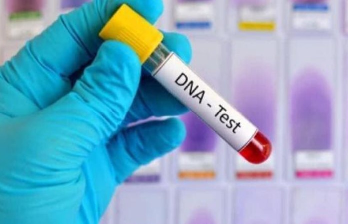 B&#x1EAF;t b&#x1EA1;n g&#xE1;i ch&#x1ECD;c &#x1ED1;i x&#xE9;t nghi&#x1EC7;m ADN &#x111;&#xFA;ng con m&#x1EDB;i c&#x1B0;&#x1EDB;i, t&#x1EDB;i khi &#x111;&#xFA;ng con v&#x1EAB;n ki&#xEA;n quy&#x1EBF;t kh&#xF4;ng c&#x1B0;&#x1EDB;i b&#x1EA3;o &#x27;gi&#x1EA3; k&#x1EBF;t qu&#x1EA3;&#x27;