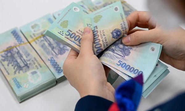 Xử phạt doanh nghiệp 600 triệu đồng vì chiếm đất trái phép