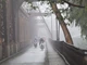 Dự báo thời tiết ngày 28/2/2024: Hà Nội mưa phùn và sương mù, trời rét đậm