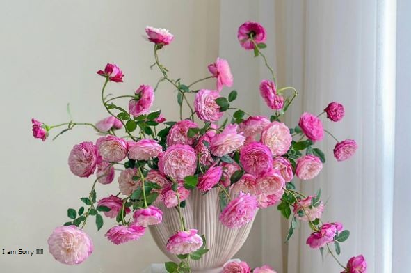 Tử vi hàng ngày - Thứ Tư 28/2/2024 của 12 cung hoàng đạo