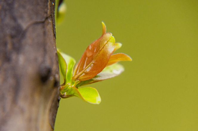 Mở cửa thấy 5 hiện tượng này là dấu hiệu của may mắn, Thần Tài sắp 'gõ cửa'