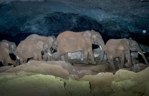 Điều gì khiến cho hang Kitum trở thành nơi nguy hiểm nhất trên Trái Đất?