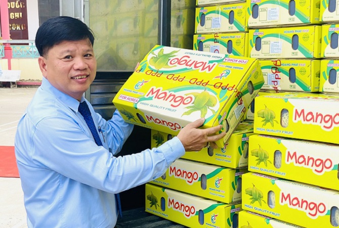 Xoài An Giang chinh phục nhiều thị trường quốc tế khó tính