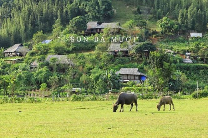 Son - Bá – Mười: Điểm du lịch kì thú sau Tết