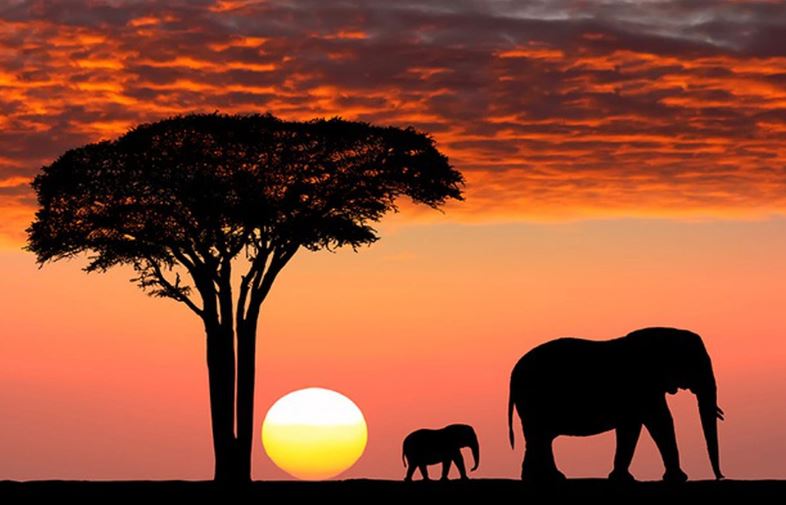 Tại sao Nam Phi lại có tới 3 thủ đô?