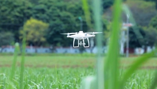 Việt Nam và Australia sẽ có bước tiến mới trong lĩnh vực khoa học và đổi mới sáng tạo