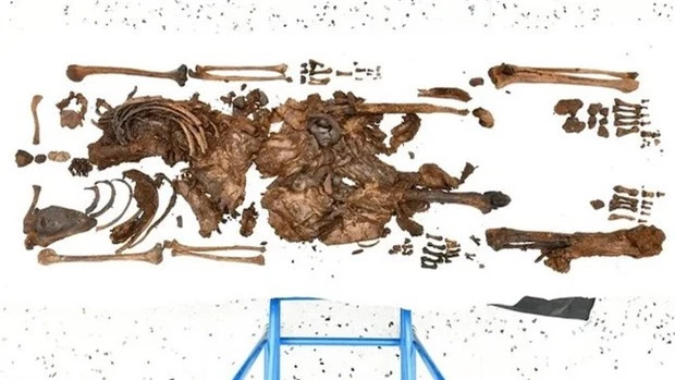 Phát hiện thi thể cậu bé hơn 2.000 năm tuổi dưới đầm lầy - Ảnh 1.