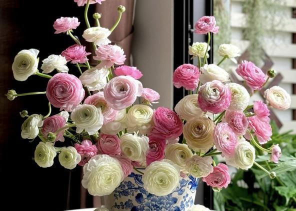 Tử vi hàng ngày - Thứ Hai 4/3/2024 của 12 cung hoàng đạo