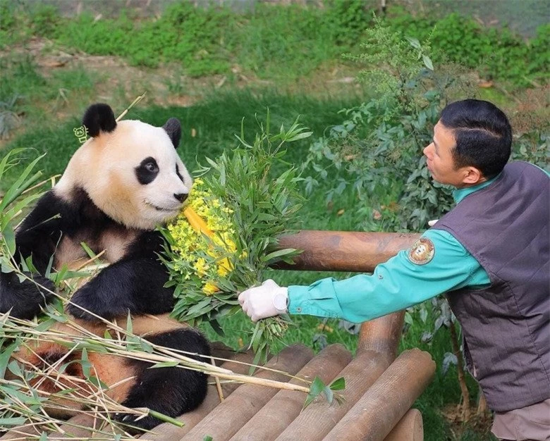 Hàng nghìn fan xếp hàng 6-7 tiếng, khóc không ngừng trong ngày cuối gặp "công chúa tài phiệt" Fubao - 3