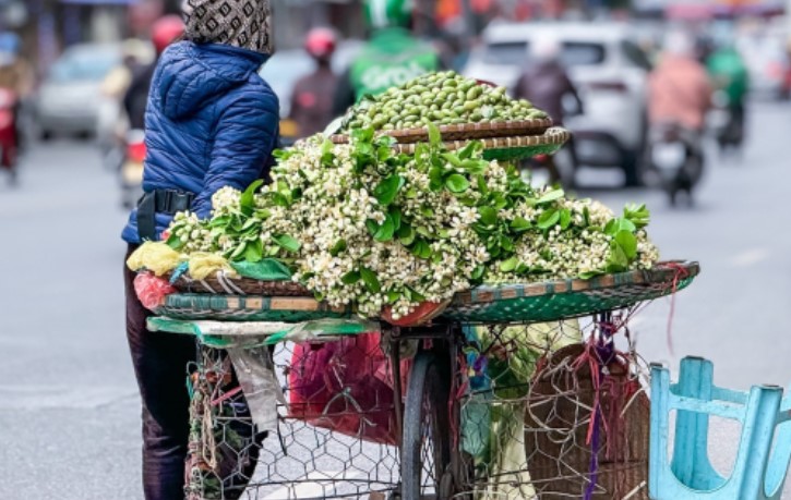 Hoa bưởi đầu mùa ở Hà Nội bán giá 500.000 đồng/kg vẫn đắt hàng